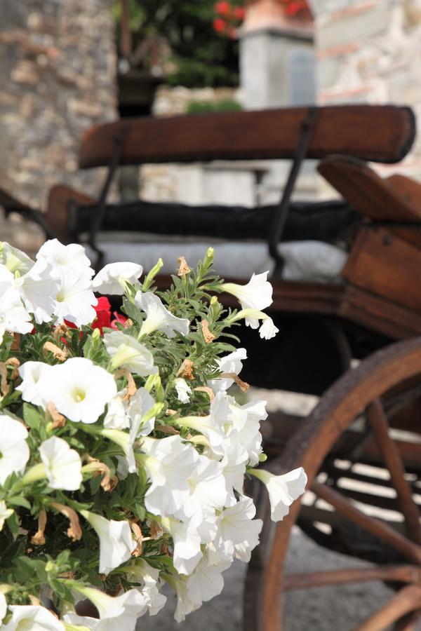 Agriturismo Il Calesse Куаррата Екстер'єр фото